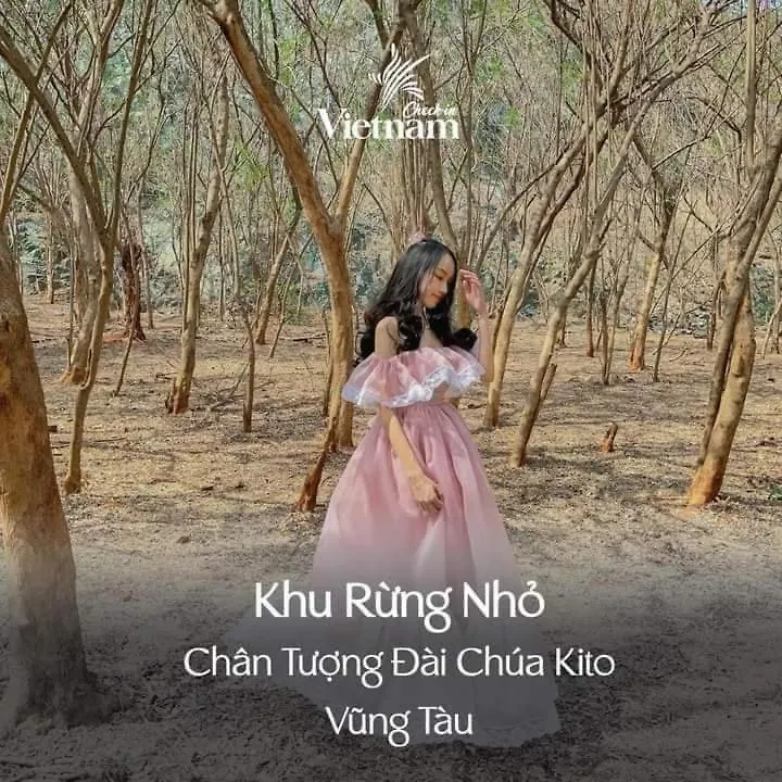 Villa 7 Phong Ngu Vung Tau